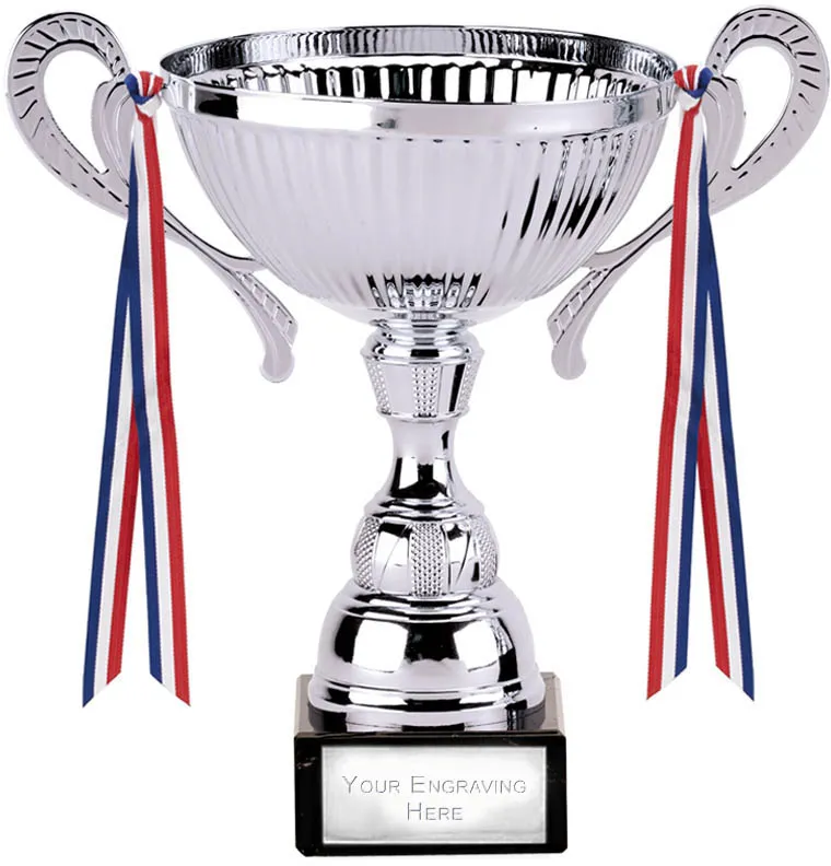 Turin Silver Cup Presentation Award Trophy  7.5 Inch Free p&p & Engraving